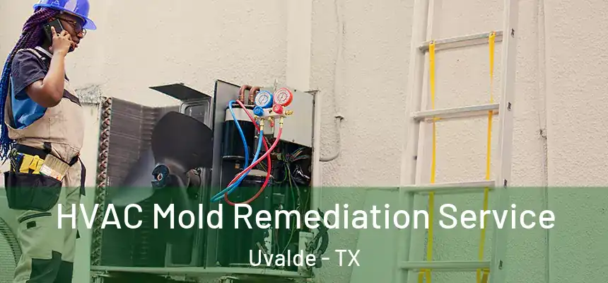 HVAC Mold Remediation Service Uvalde - TX