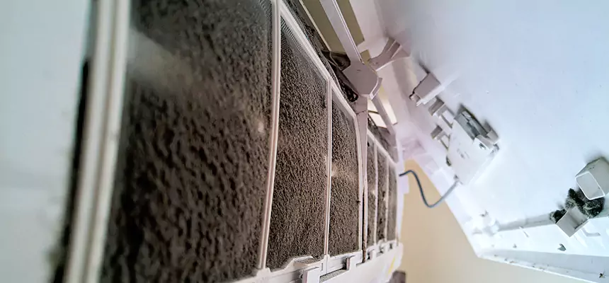 Preventive Air Duct Bacteria Removal in Uvalde