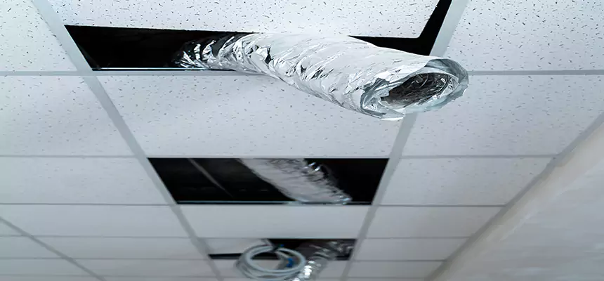 Affordable HVAC Sanitizing After Pest Removal in Uvalde