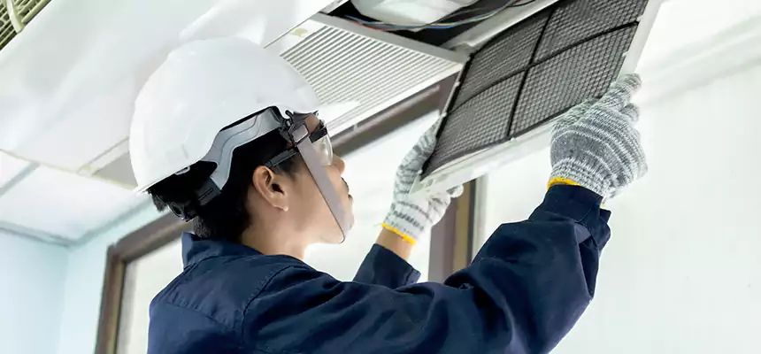 Our Mold & Mildew Removal from Air Ducts Services in Uvalde, TX