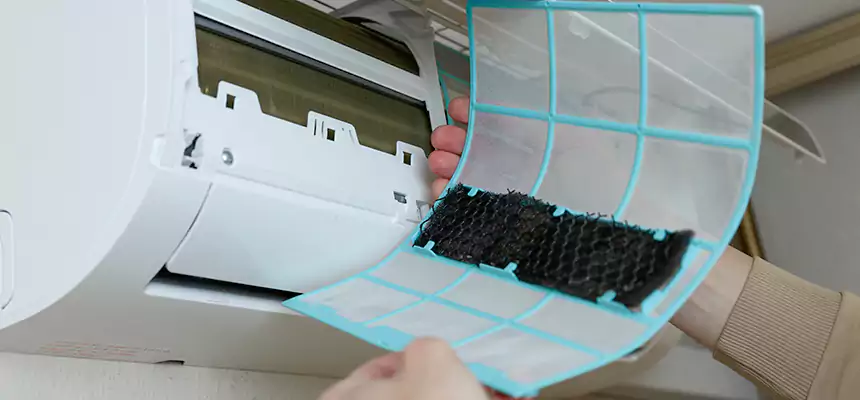 Gentle Ductwork Odor-Control Pet Dander Duct Cleaning in Uvalde, TX