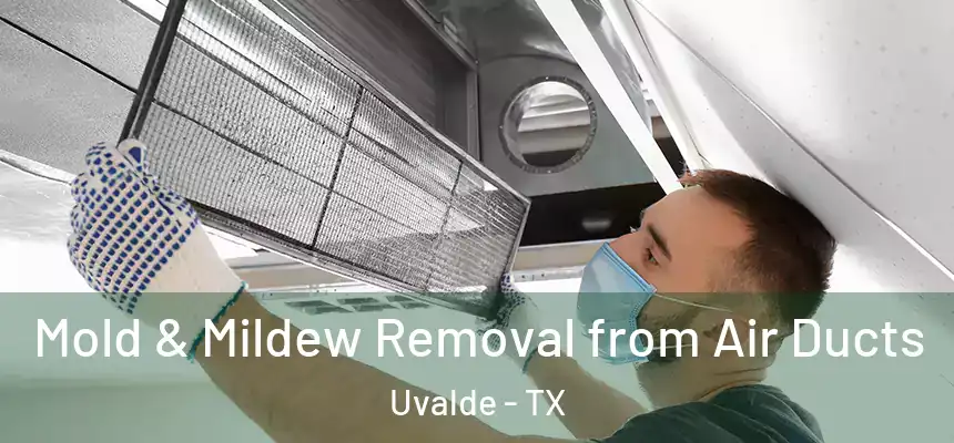  Mold & Mildew Removal from Air Ducts Uvalde - TX