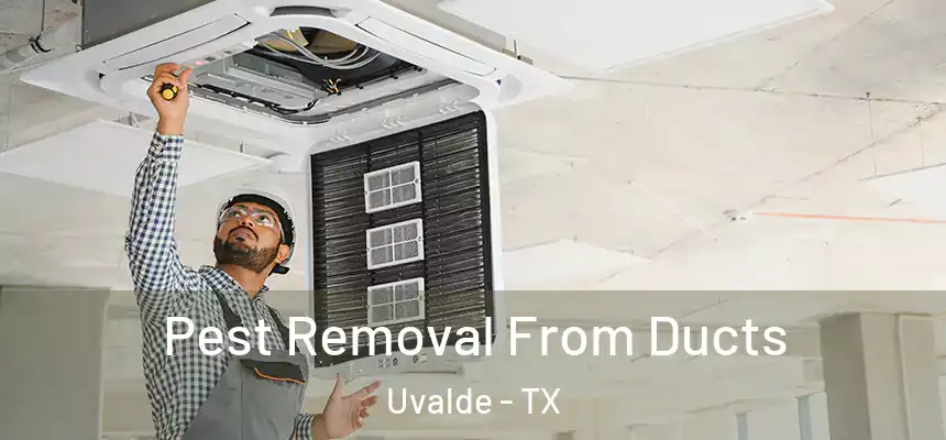  Pest Removal From Ducts Uvalde - TX