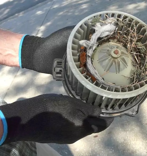 About Air Duct Rat Removal in Uvalde, TX