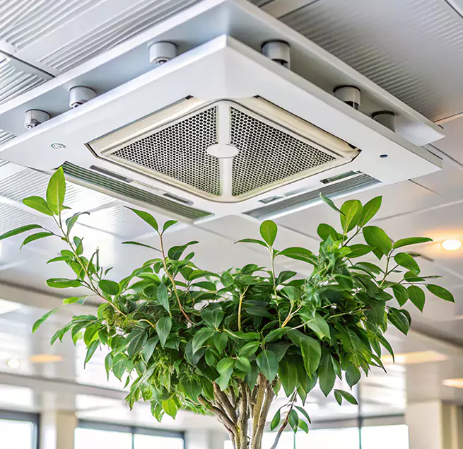 Why Homeowners & Businesses Trust Us in Uvalde, TX?